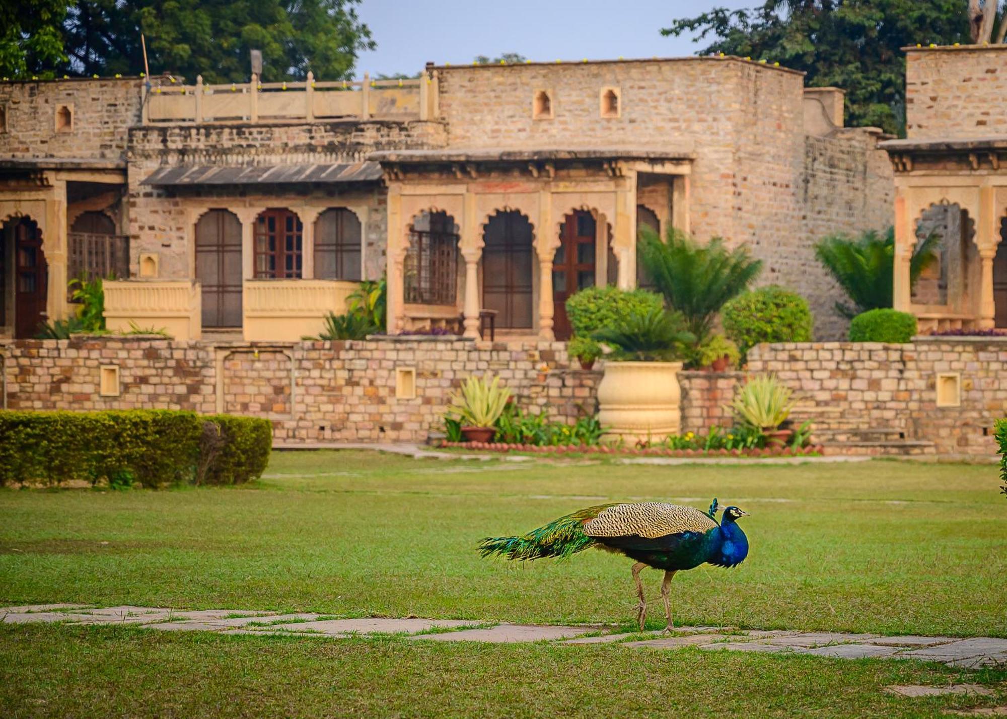 فندق Neemrana'S - Deo Bagh قاليور المظهر الخارجي الصورة